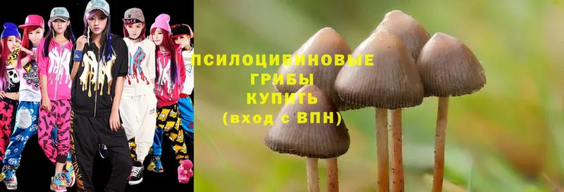 Галлюциногенные грибы MAGIC MUSHROOMS  ОМГ ОМГ как зайти  Апрелевка  хочу наркоту 